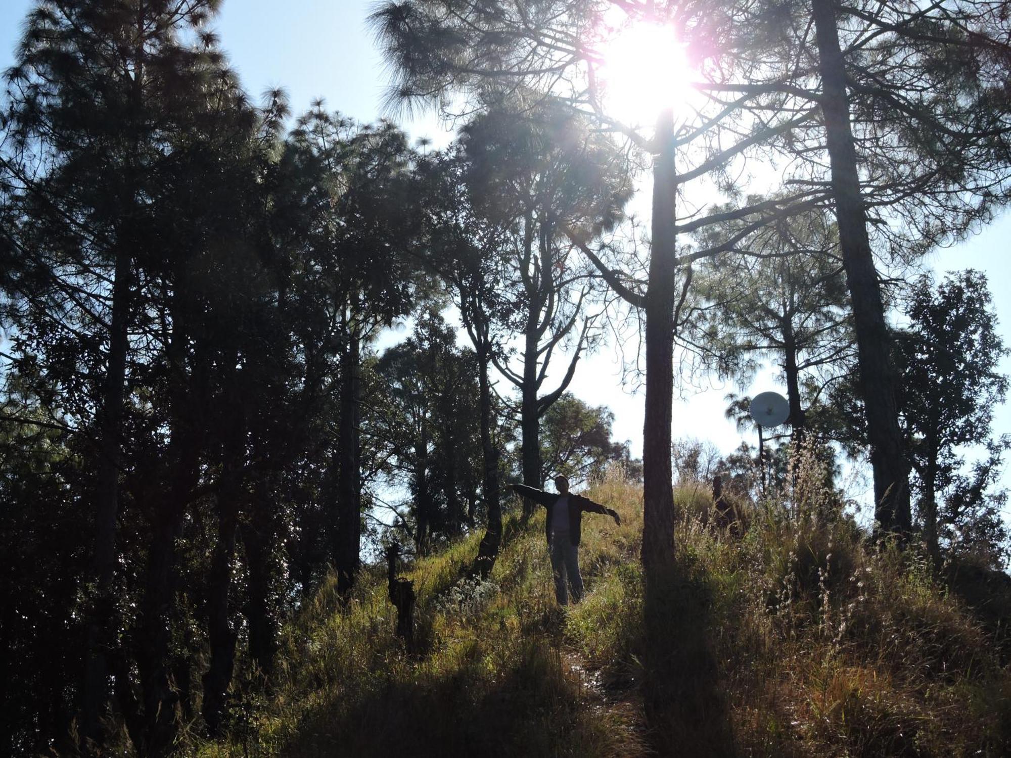 The Manora Woods - Private Hill Top, Gethiya, Nainital Exterior foto